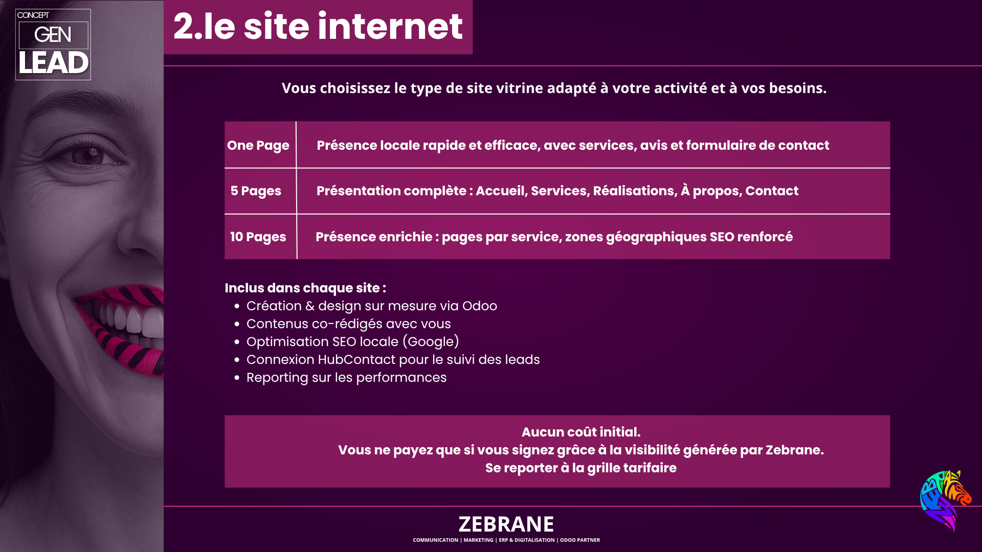 agence zebrane - communication- site web